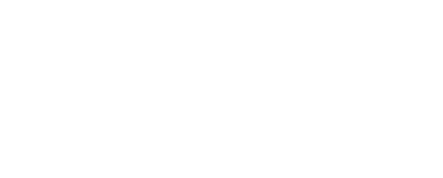 Официальный партнёр